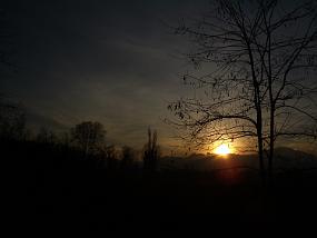 IMGP4491