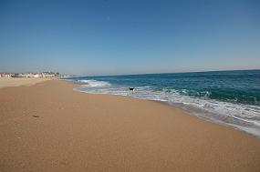 DSC_0027_copy