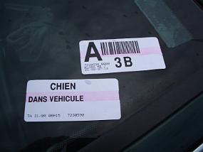 Finalement pas du tout dans vehicule