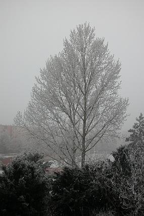DSCN0046