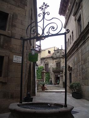 IMGP8345
