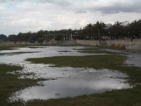 See am Strand