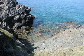 DSCN0089