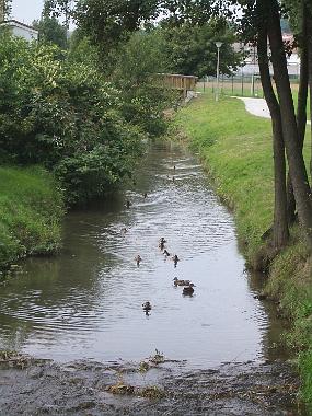 IMGP0268