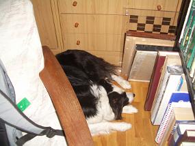 Utopie is hiding like always