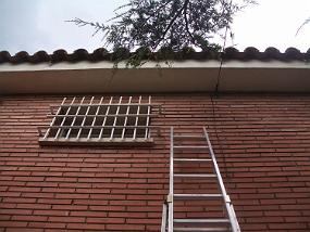 Telephone line is fixed again