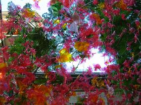 DSCF0018