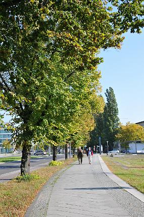 DSC_1856