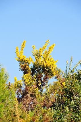 DSC_3051