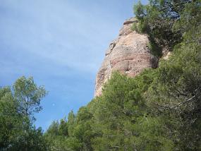 P1180396