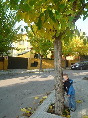 P1180463