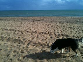 IMG_IPH00014
