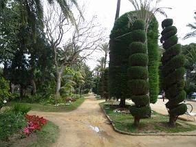 P1200634