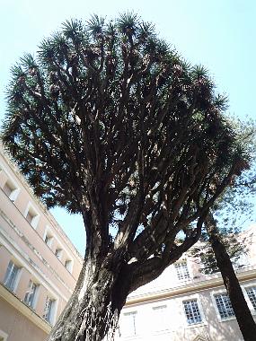 P1200742