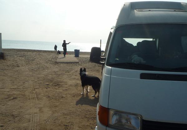 Camping (Sunday, 15. January 2012) On prendent les bus blanc pour aller manger à la plage.