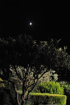 DSC_3524