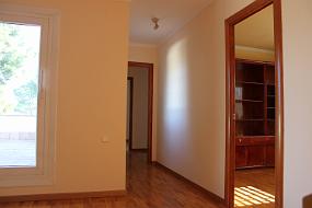 IMG_6041