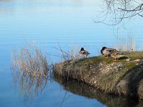 IMG_0130