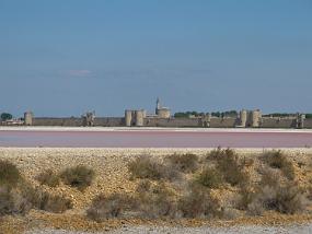 IMG_0440