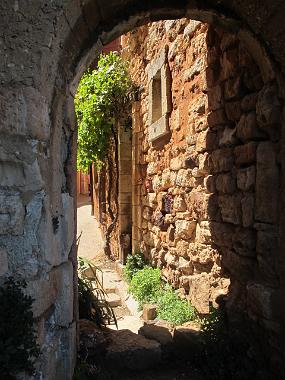 IMG_1275