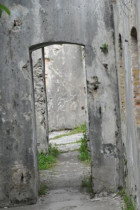 DSC_4935