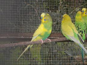 DSCN0053