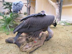 IMG_1948