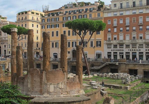 Rome II (Tuesday, 20. October 2015) Busfahrt in Rom und im Tierpark