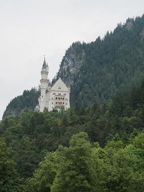 IMG_2631
