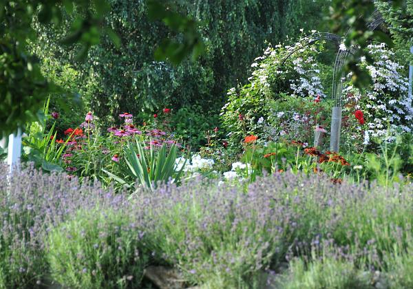 Garten II (Monday, 18. July 2016) Und noch ein paar mehr