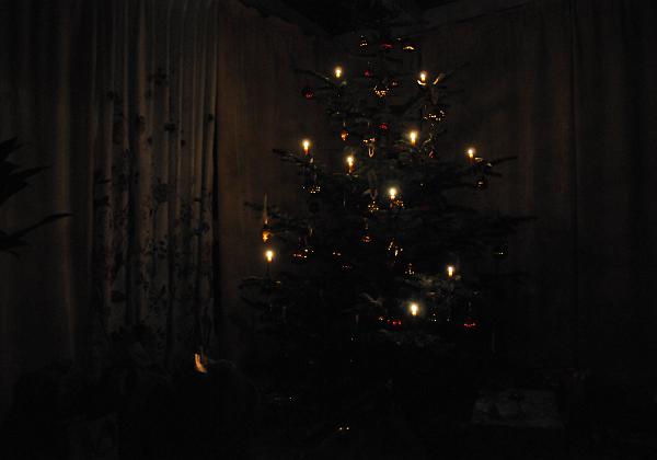 Weihnachten (Sunday, 25. December 2016) Und schnell noch nach Deutschland um auch dort Weihnachten zu feiern
