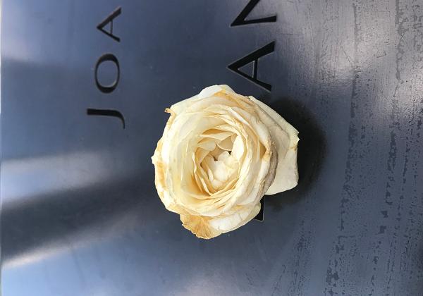 NY - 9/11 Memorial (Saturday, 14. July 2018) We walk around and visit the 9/11 memorial