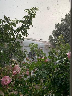 2019-06-17 19.22.22
