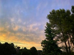 2019-07-17 21.08.56-1