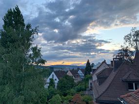 2019-08-15 19.50.31