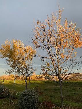 2019-11-30 16.30.20