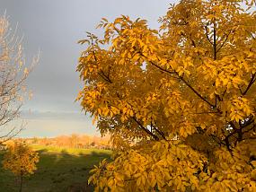 2019-11-30 16.30.54
