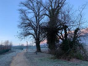 2019-12-31 09.12.36