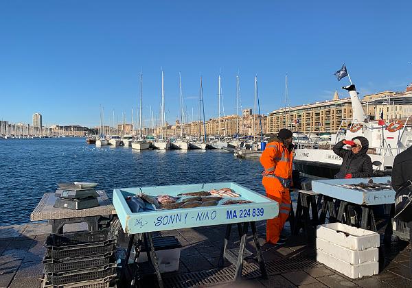 Marseille (Friday, 18. January 2019) Marseille Vieux Port