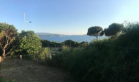 2020-07-20 19.45.25