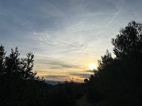 2023-01-14 16.29.16