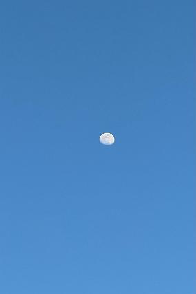 2024-03-20 17.53.05-1
